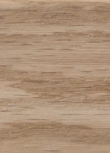 Holzart Eiche