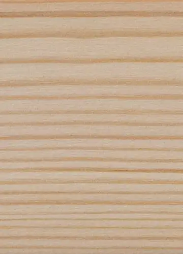 Holzart Kiefer