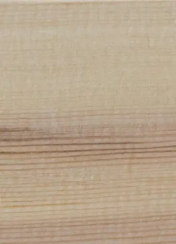 Holzart Lärche
