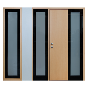 Design-Türen: Modell 8900
